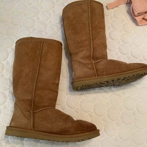 Tall chestnut uggs
